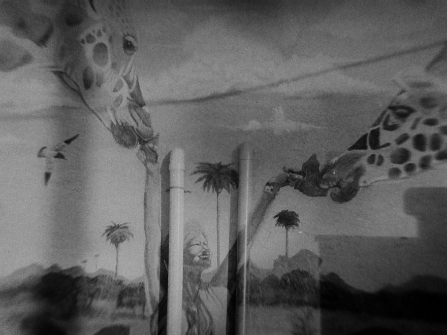 I Took Pictures Of My Negatives With An Iphone And A Clip-On Macro Lens And Got A Pretty Cool Effect I Took Pictures Of My Negatives With An Iphone And A Clip-On Macro Lens And Got A Pretty Cool Effect