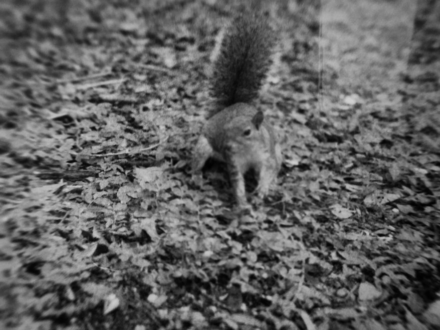 I Took Pictures Of My Negatives With An Iphone And A Clip-On Macro Lens And Got A Pretty Cool Effect I Took Pictures Of My Negatives With An Iphone And A Clip-On Macro Lens And Got A Pretty Cool Effect