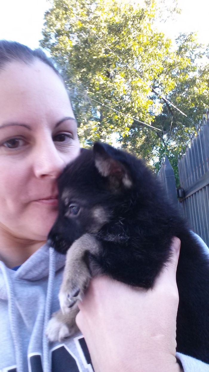 My German Shepherd Beastie-Butt At 5 Weeks Old.