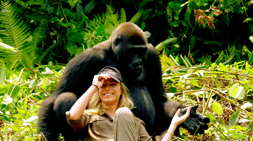 This Man Took His Wife To See Wild Gorillas And What Happened Is Amazing
