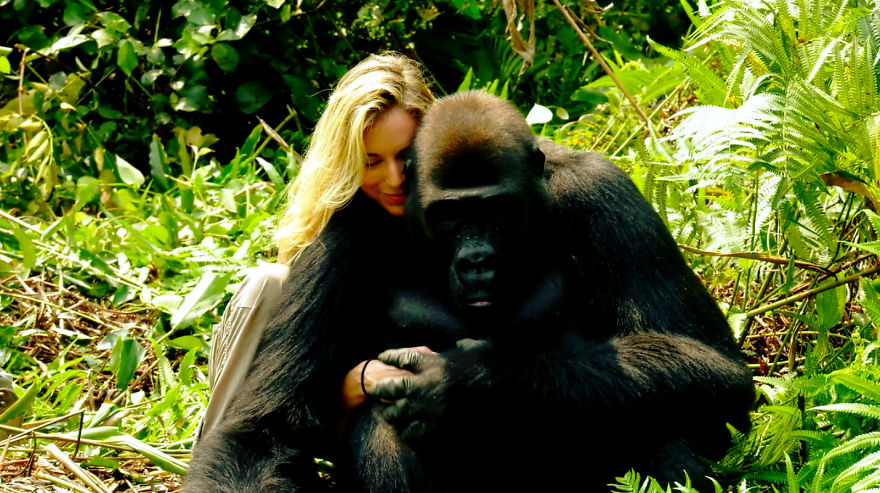 This Man Took His Wife To See Wild Gorillas And What Happened Is Amazing