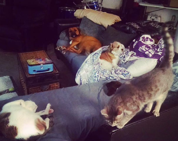 Can You Spot All Five?