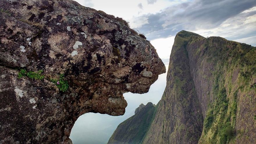 Stars Coming Down Or Are We Reaching Out For The Clouds? Riveting Meesapulimala Trek