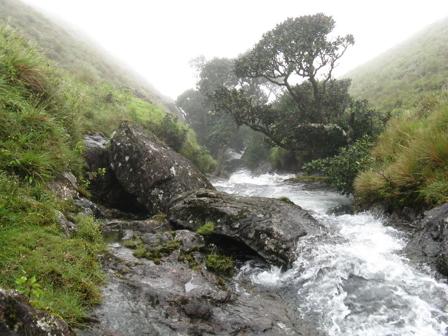Stars Coming Down Or Are We Reaching Out For The Clouds? Riveting Meesapulimala Trek