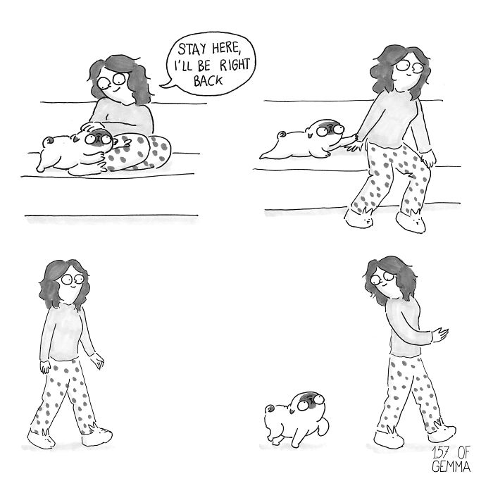 Pug-mochi-comic-gemma-gene