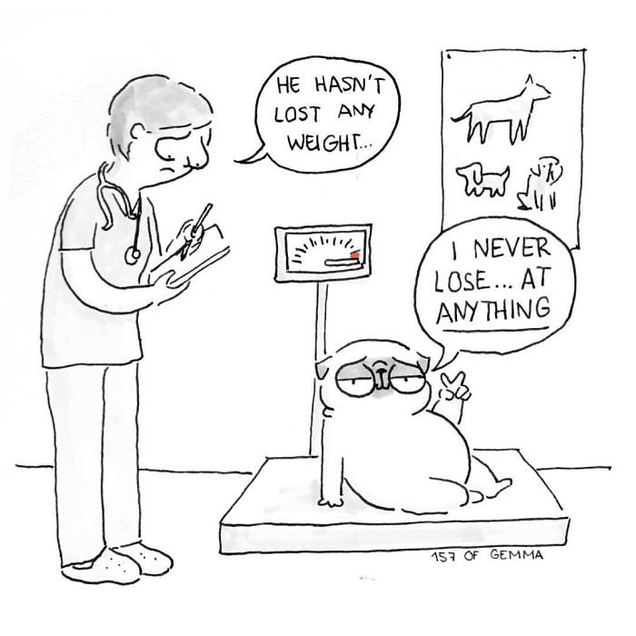 Pug-mochi-comic-gemma-gene