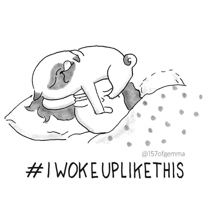 Pug-mochi-comic-gemma-gene