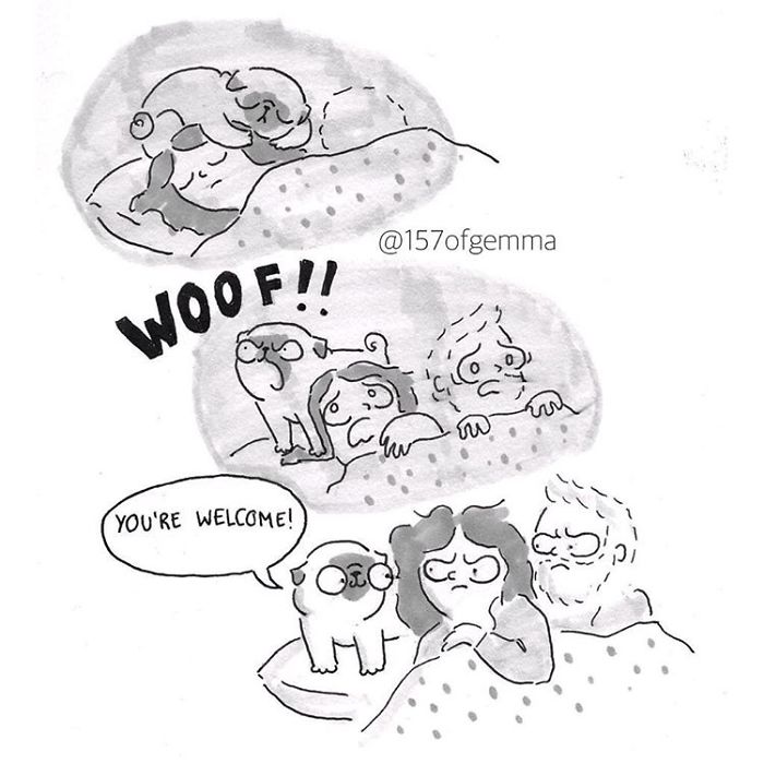Pug-mochi-comic-gemma-gene