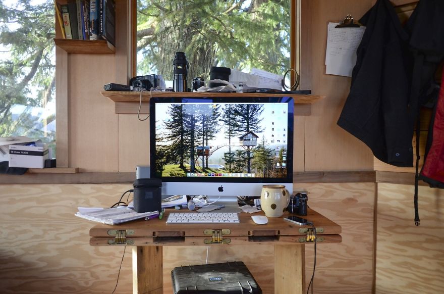 This Millennial Quit His Job To Build A Treehouse Empire This Millennial Quit His Job To Build A Treehouse Empire