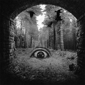 maciej_szlachcic avatar