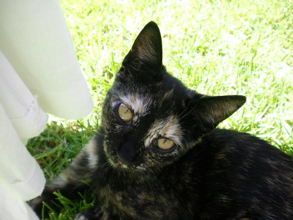 Tzarina's Special Eyebrows