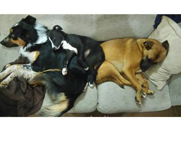 When There's Only Space On The Couch For Two!