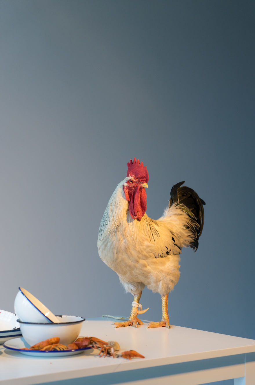 We've Reinvented The Most Popular Ukrainian Dishes And Made 10 Outstanding Still Lifes We've Reinvented The Most Popular Ukrainian Dishes And Made 10 Outstanding Still Lifes