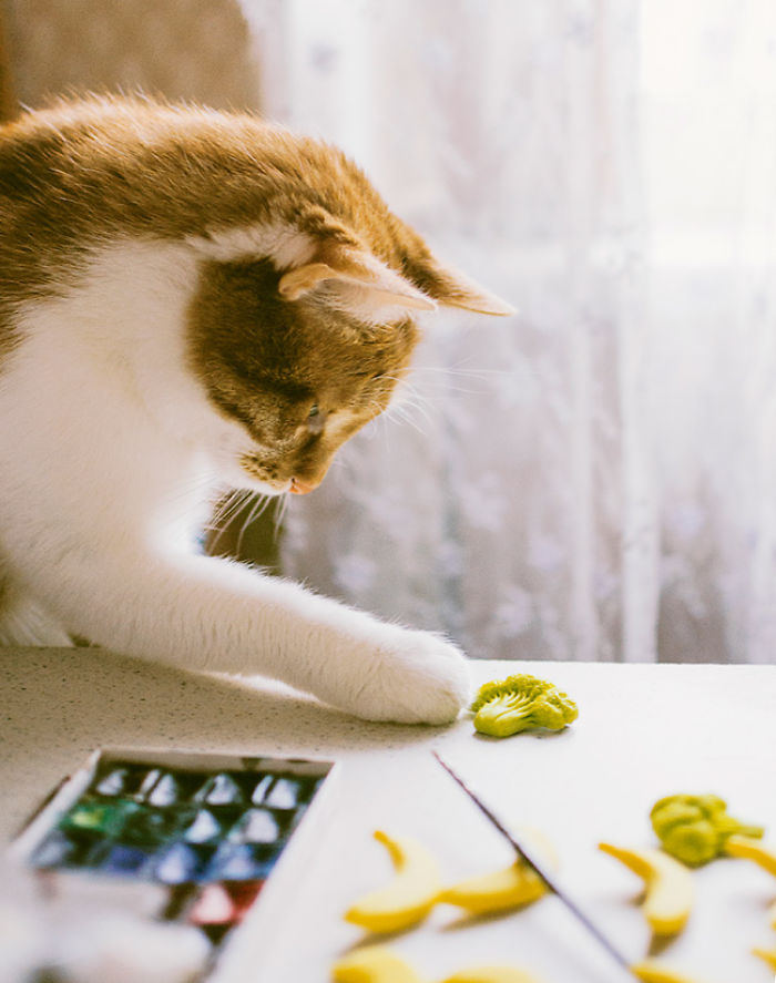 Something About Fruits And Vegetables Brooches, About Us And Creating