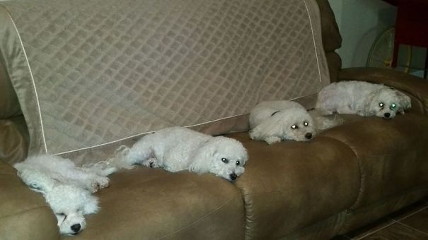 People Think They're Identical. Not Even Close!