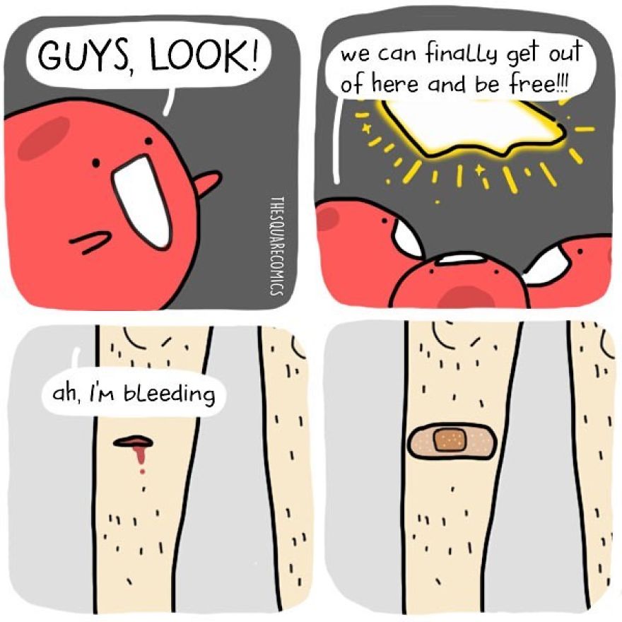 What If Inanimate Objects/animals Could Speak? (part 2) (20+ Pics)