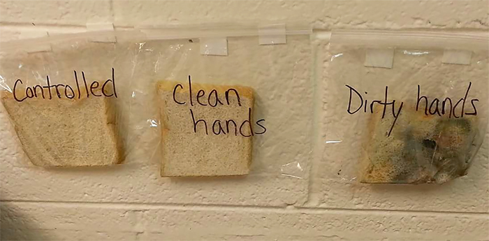 Genius Teacher's 'Bread Trick' Shows Kids Why They Need To Wash Hands, And It's Disgustingly Brilliant Genius Teacher's 'Bread Trick' Shows Kids Why They Need To Wash Hands, And It's Disgustingly Brilliant