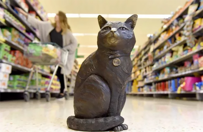 Shoppers Raise £4000 For Bronze Statue Of Brutus The Famous Supermarket Cat Shoppers Raise £4000 For Bronze Statue Of Brutus The Famous Supermarket Cat