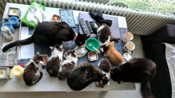 Just A Normal Breakfast Routine In Our House.