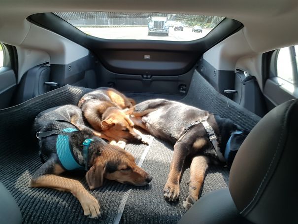 The Ride Home After A Lovely Afternoon At The Virginia Scottish Games