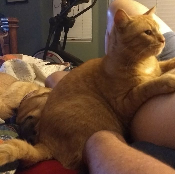 What? I Dont See A Dog Here.