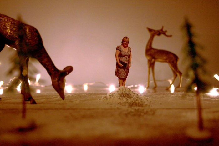 This Photographer Puts Her Family Into A Mini World Of Magical Fun For Christmas Cards