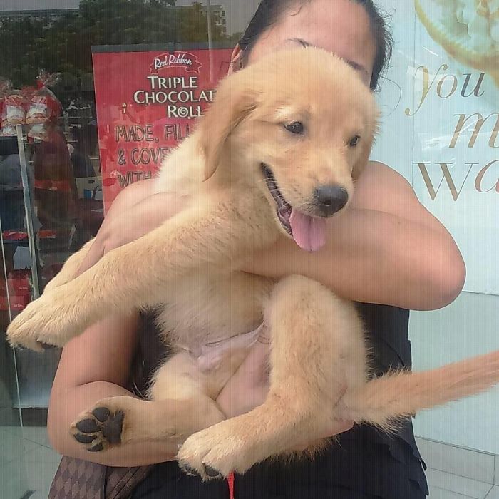 Love At First Sight. Caleb At 5 Weeks