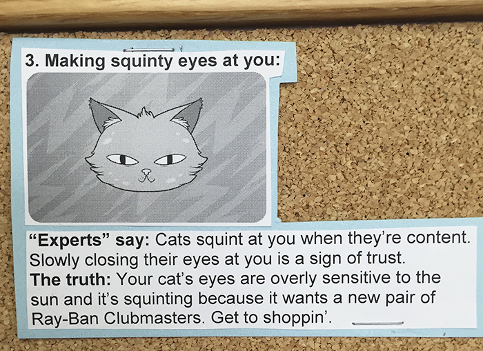 This Vet Put Explanations Of 15 Common Cat Behaviours On His Cork Board, And It's Hilarious