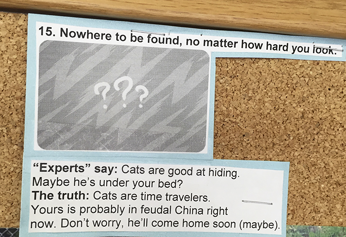 This Vet Put Explanations Of 15 Common Cat Behaviours On His Cork Board, And It's Hilarious This Vet Put Explanations Of 15 Common Cat Behaviours On His Cork Board, And It's Hilarious