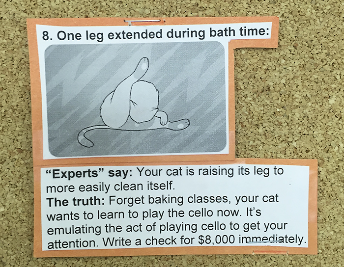This Vet Put Explanations Of 15 Common Cat Behaviours On His Cork Board, And It's Hilarious This Vet Put Explanations Of 15 Common Cat Behaviours On His Cork Board, And It's Hilarious