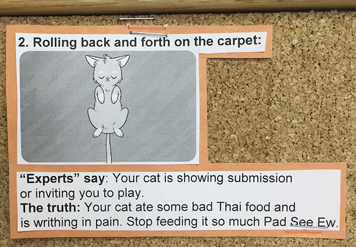 This Vet Put Explanations Of 15 Common Cat Behaviours On His Cork Board, And It's Hilarious This Vet Put Explanations Of 15 Common Cat Behaviours On His Cork Board, And It's Hilarious