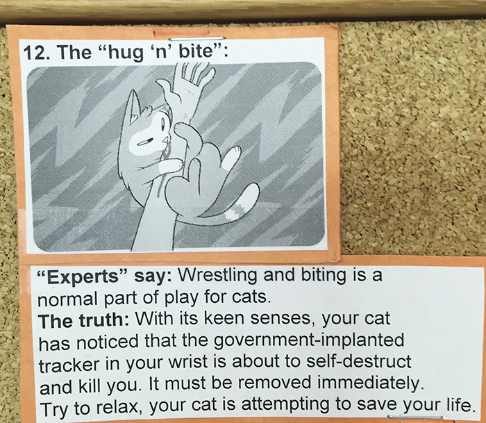 This Vet Put Explanations Of 15 Common Cat Behaviours On His Cork Board, And It's Hilarious