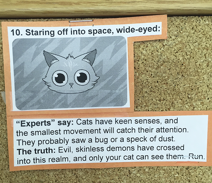 This Vet Put Explanations Of 15 Common Cat Behaviours On His Cork Board, And It's Hilarious