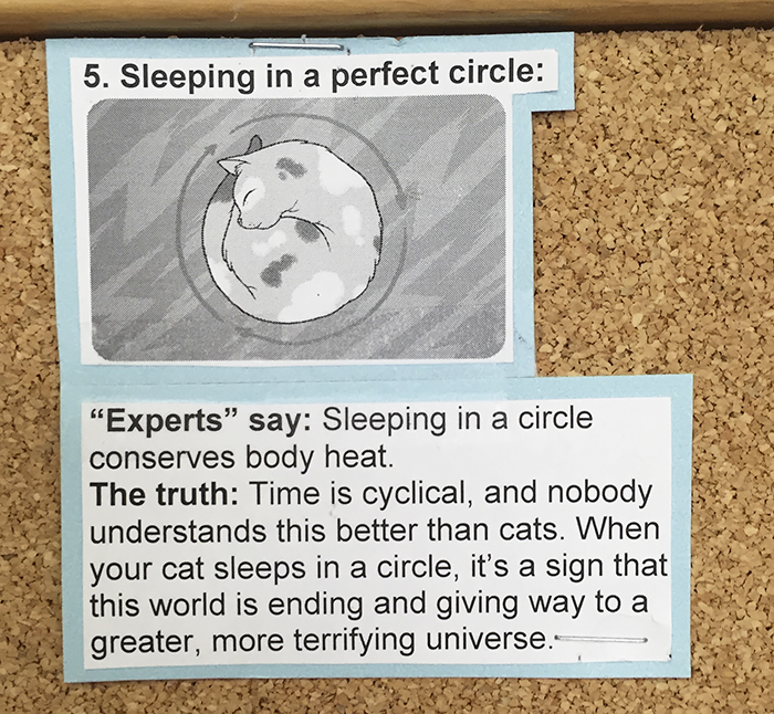 This Vet Put Explanations Of 15 Common Cat Behaviours On His Cork Board, And It's Hilarious This Vet Put Explanations Of 15 Common Cat Behaviours On His Cork Board, And It's Hilarious
