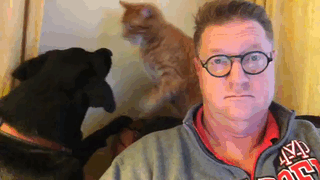 Owner Just Wants To Watch The News