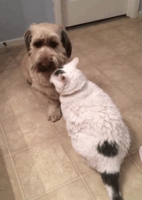 It's A Love/Hate Relationship