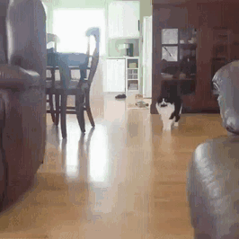 *Sigh* I've Got To Live With These Idiots