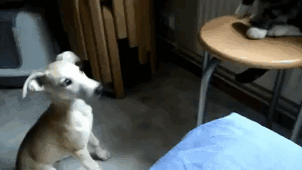 Sometimes Enough Is Enough