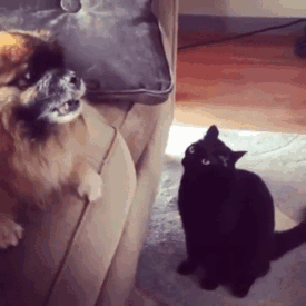 Yes, Yes... Let The Hate Flow Through You