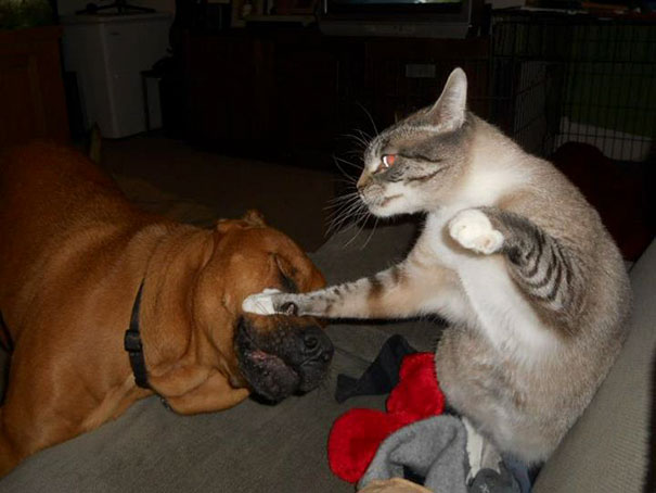 Showing Some Kung Fu Moves