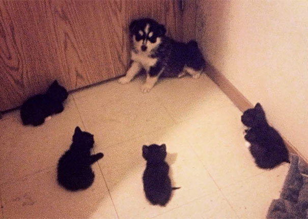 Cornered