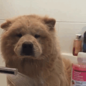 Hit A Guy When He's Down Why Don't Ya