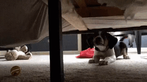 Checking For Monsters Under The Bed