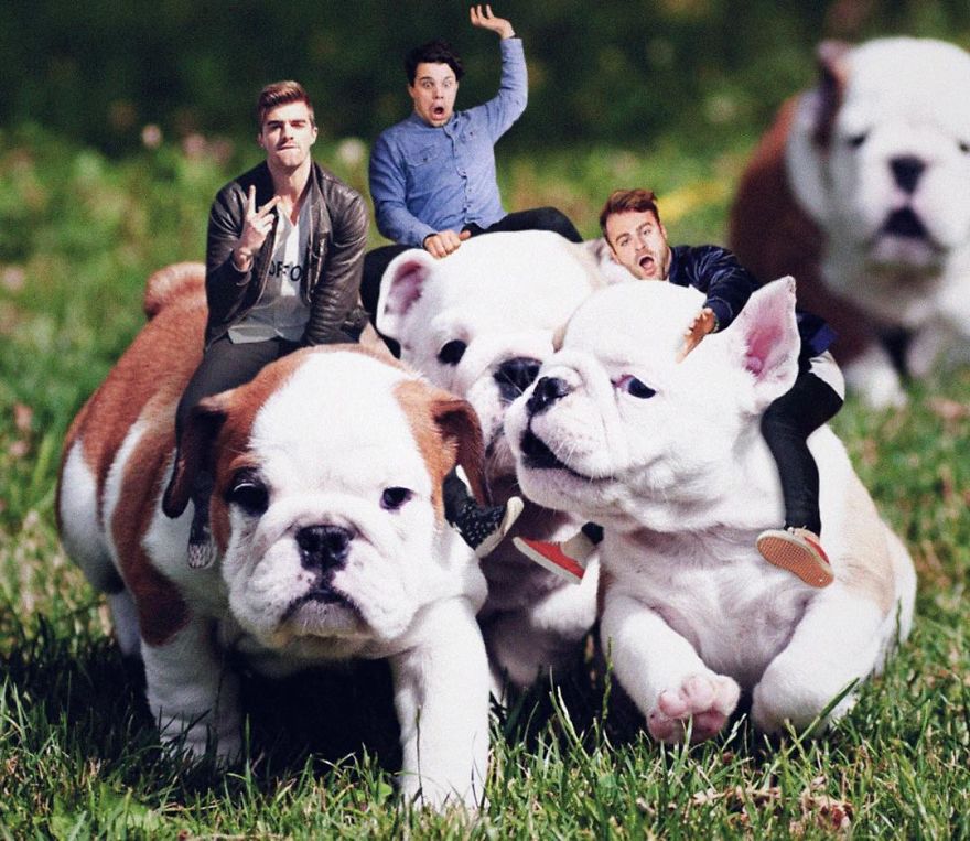 Celebrity Pic Photobomb