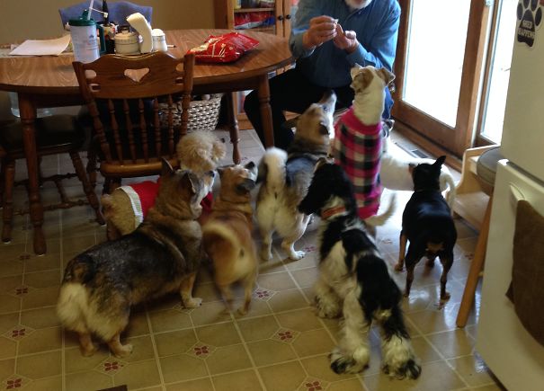 "we Know There's A Whole Bag Up There!!!"