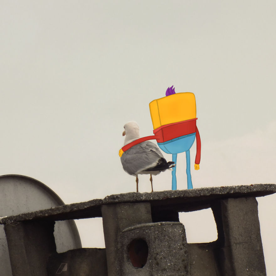 Mr. Heshory Watching The City With His Gull Friend