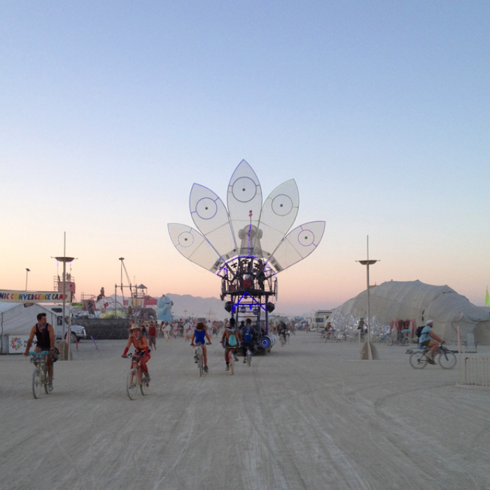 A Glimpse Into Burning Man