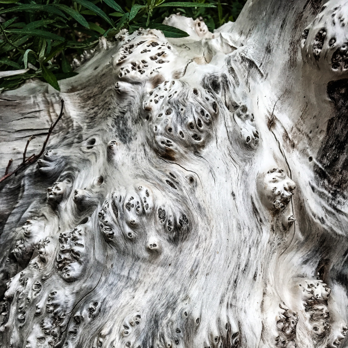 I Took A Road Trip From Oregon To California To Capture Nature’s Texture