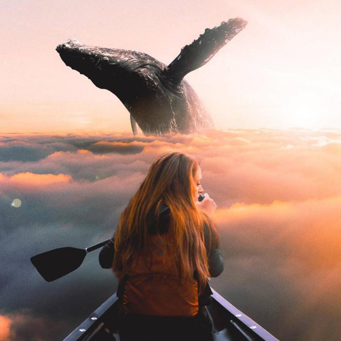 The Fantastic Surreal Art Of Ronald Ong