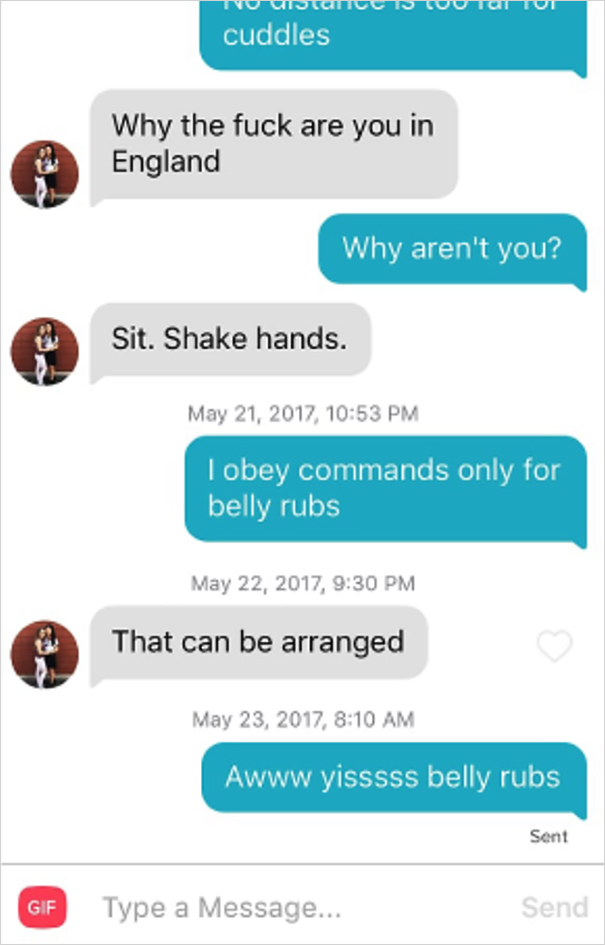 Dog-Tinder-Phil-Lifewithmalamutes